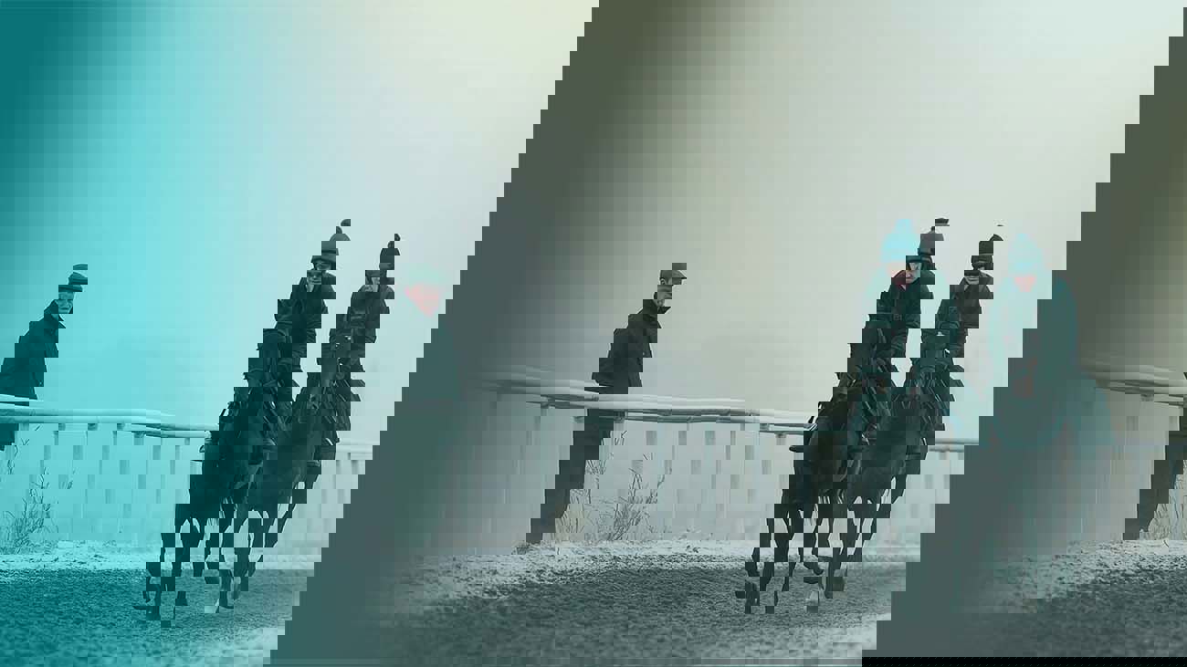 The Growing Risk Of Underinsurance In The Equine Industry.Png