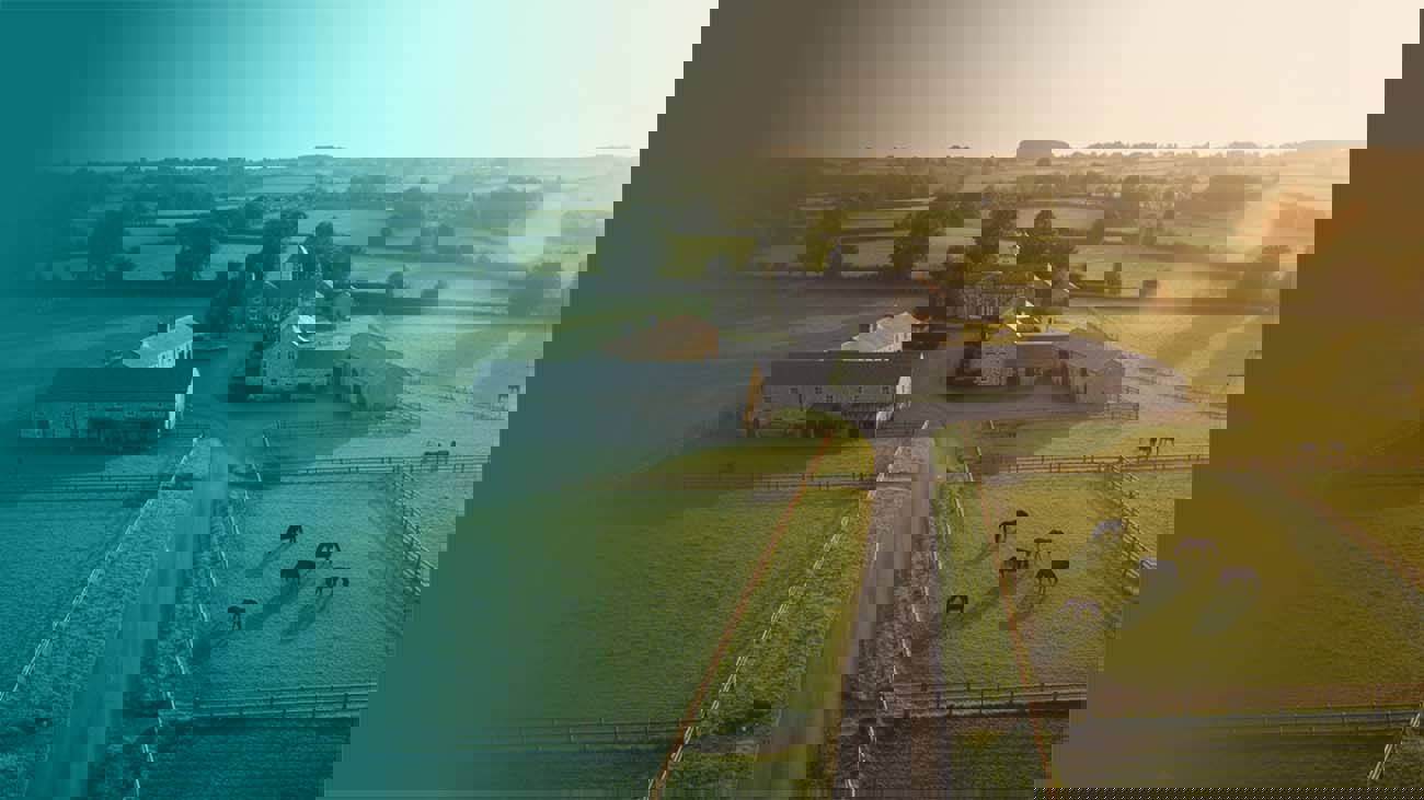 Preparing Your Equine Property For Autumn An Irish Owner’S Guide.Png