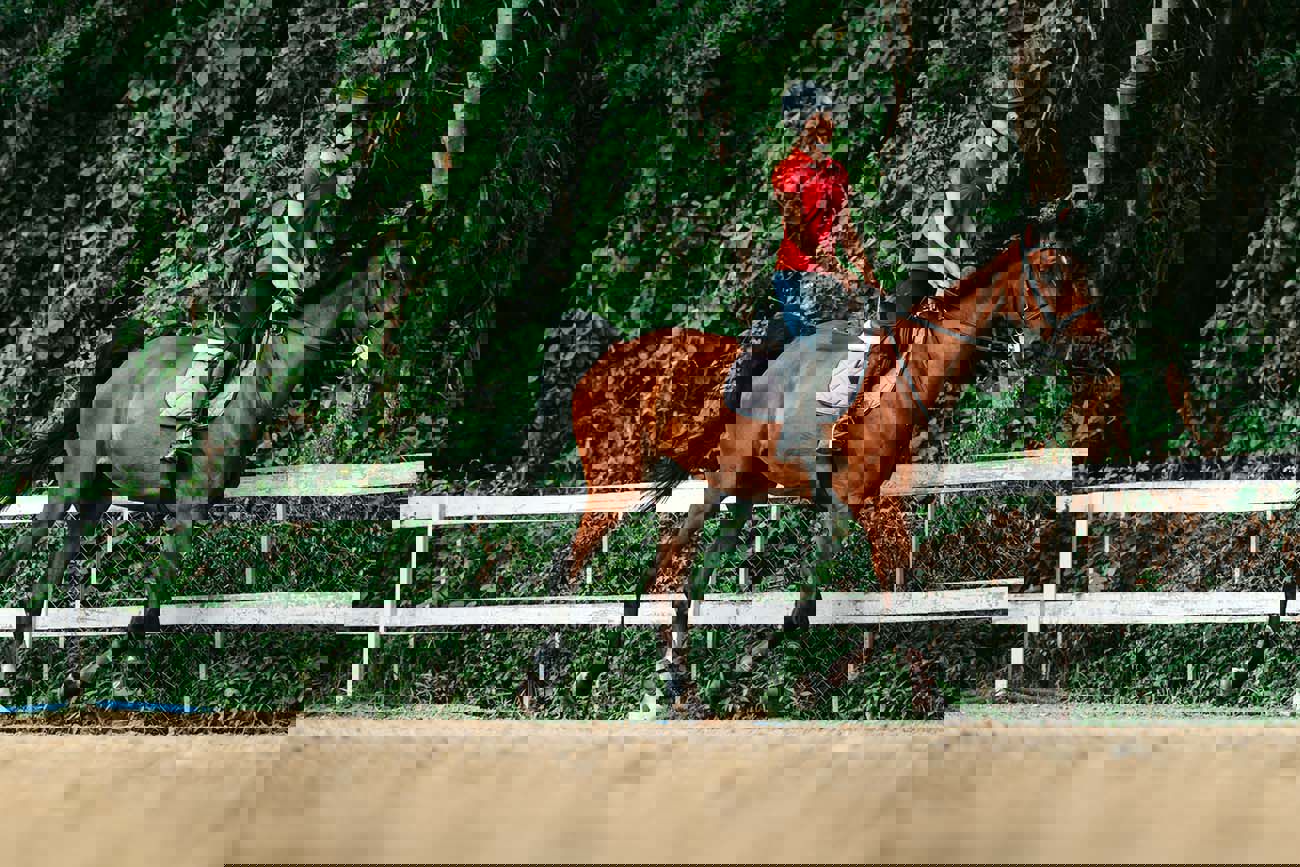 Equine Liability Coverage Protecting Horse Related Operations In Ireland.Png