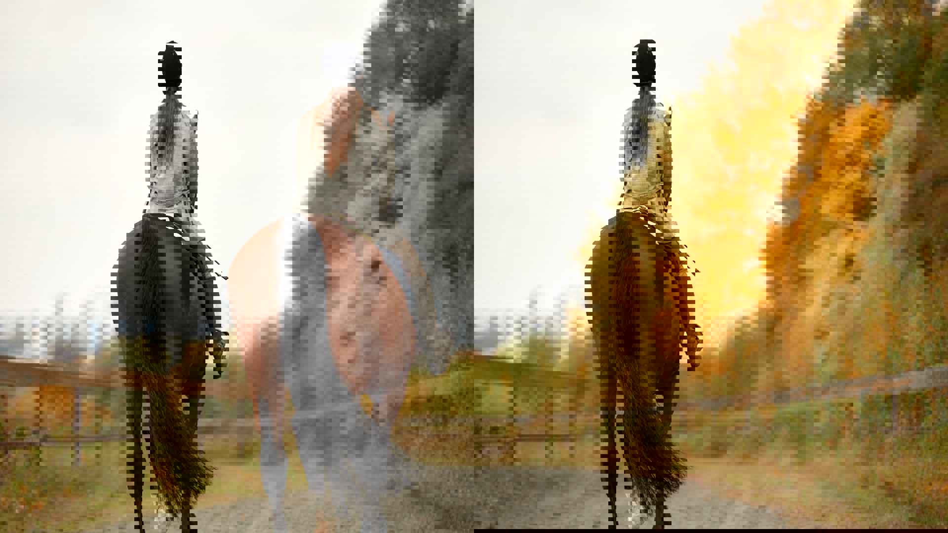 Adobestock 477105498