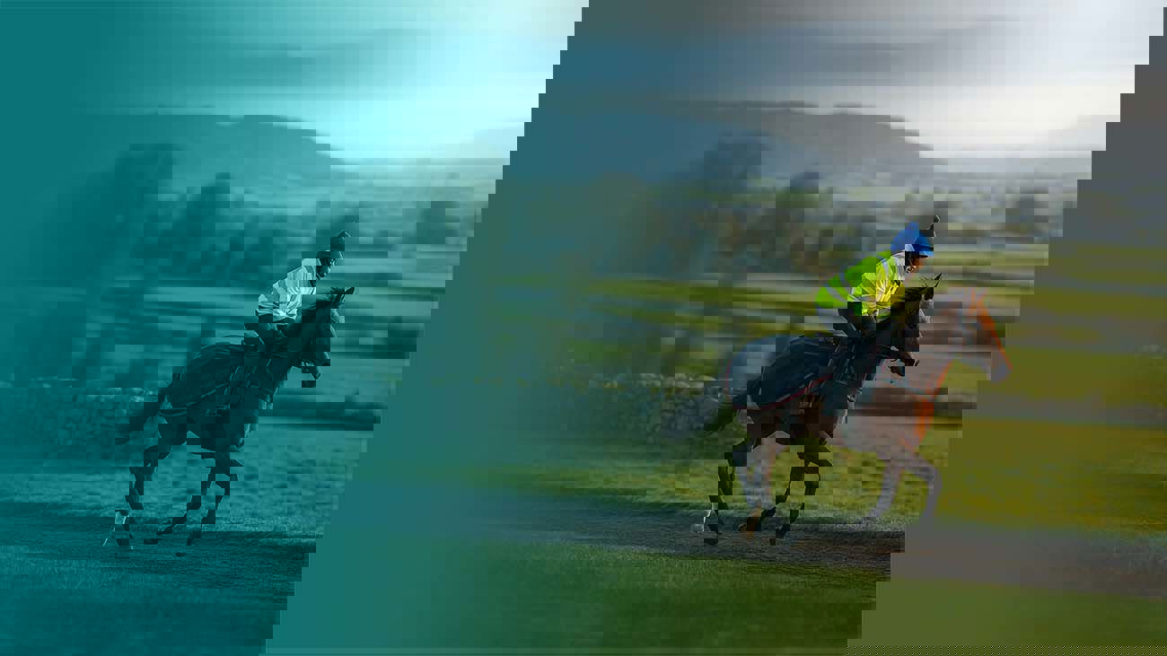 Common Horse Insurance Mistakes You Might Be Making.Png