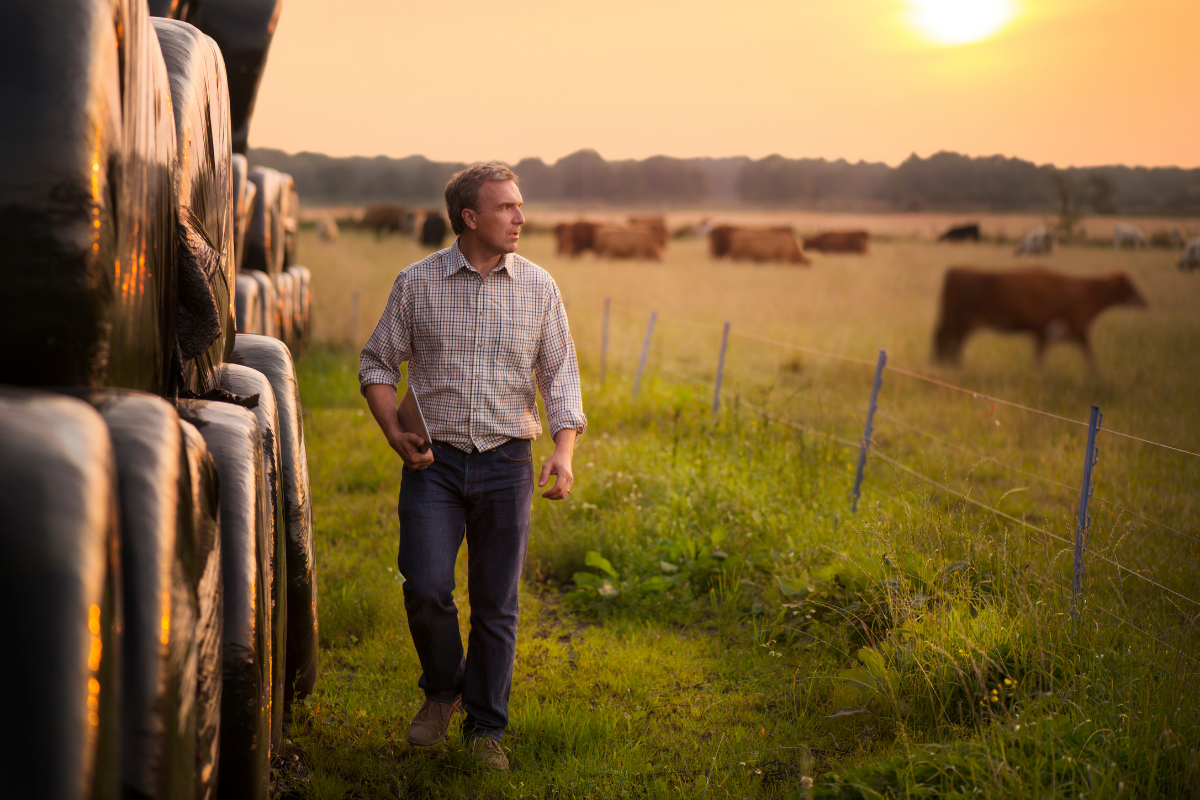 Clear Insurance Ireland Agricultural Farmer